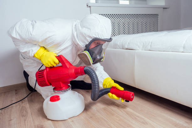 Emergency Pest Control Services in Bayside, WI